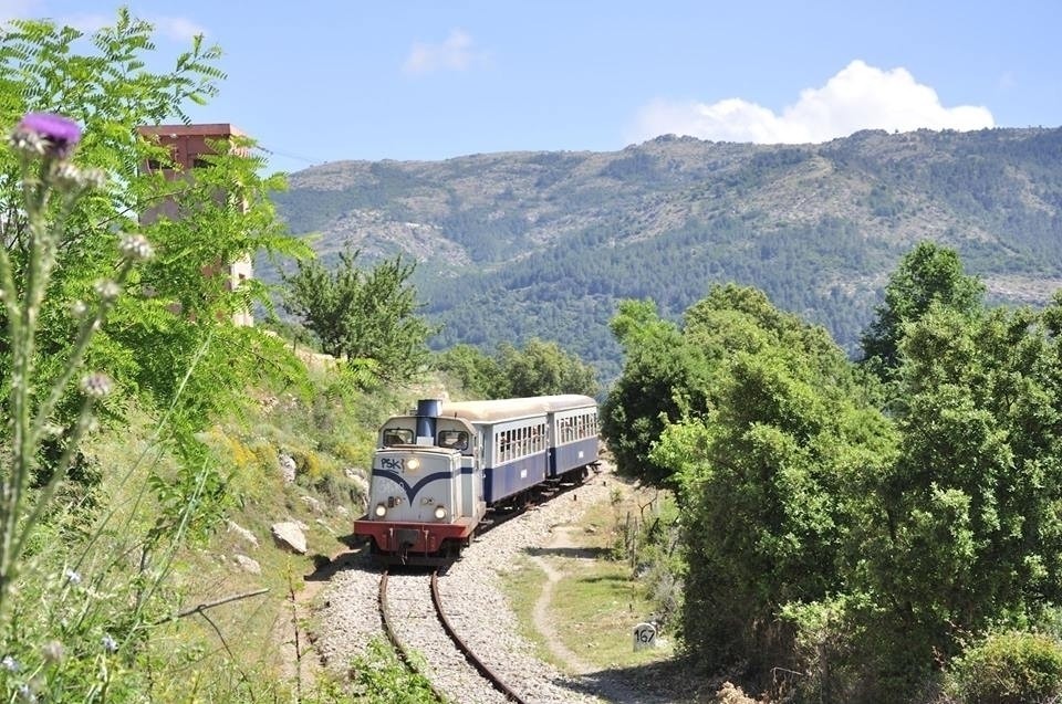 Linea Arbatax-Gairo: Orari e tariffe 2022 - STS Ogliastra