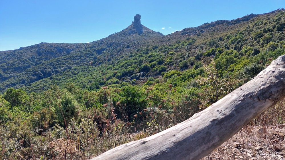 Il Monumento Naturale di Perdaliana - STS Ogliastra