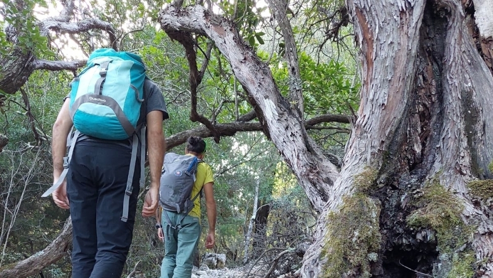 Trekking - STS Ogliastra