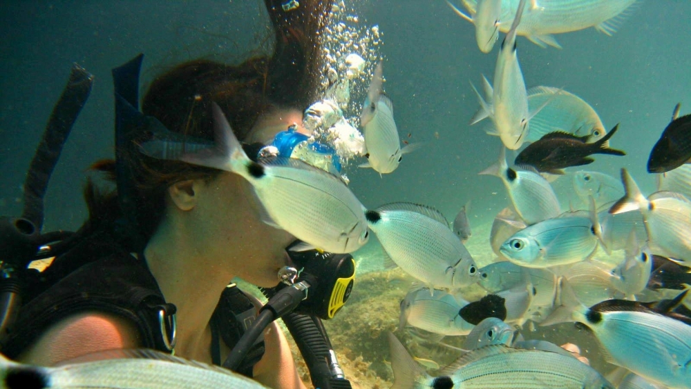 Diving - STS Ogliastra