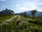 Agriturismo "S'Omu Eccia" - STS Ogliastra 