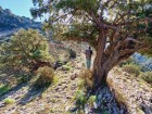 Trekking tra sentieri di Pastori e Carbonai - STS Ogliastra 