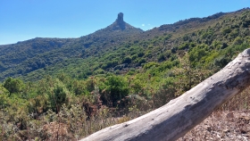Il Monumento Naturale di Perdaliana - STS Ogliastra 