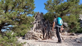 Sulle tracce del Selvaggio Blu - STS Ogliastra 