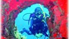 Diving - STS Ogliastra - Info & Tours 