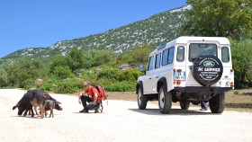 Excursions hors route - STS Ogliastra - Info & Tours 